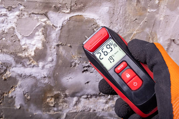 Best Emergency Mold Removal  in Ferndale, PA