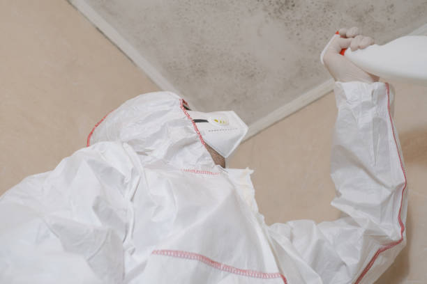 Best Crawl Space Mold Removal  in Ferndale, PA