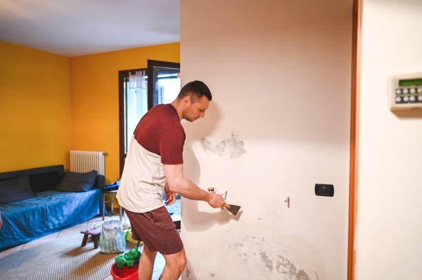 Trusted Ferndale, PA Mold Removal Experts
